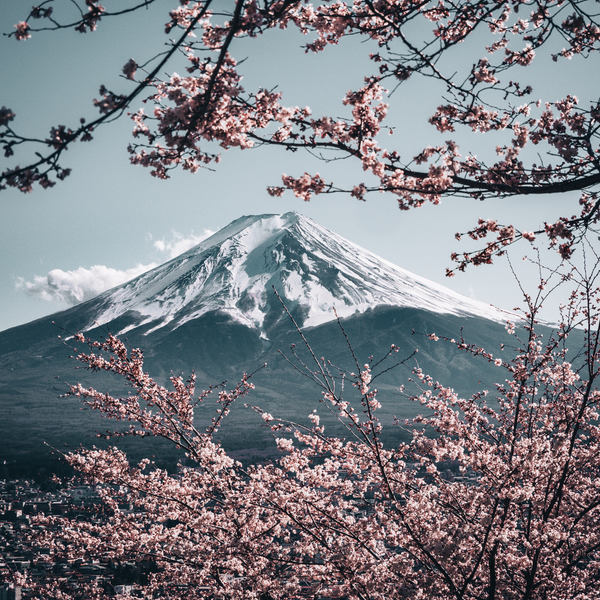 jap.png__PID:de8428ed-8907-45b2-a562-d56ed7b9f80d