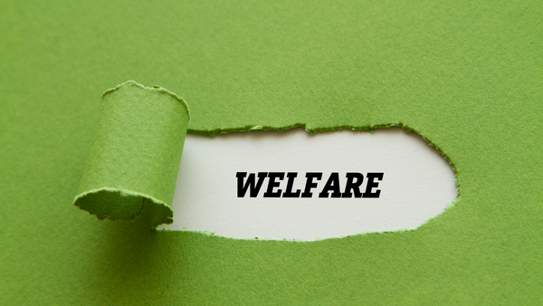 Utilizzare il welfare aziendale per acquistare viaggi: guida completa