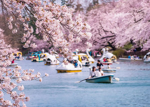 Unknown.jpeg__PID:6e496bc8-c18a-4301-8c32-72ed81b8a6b5